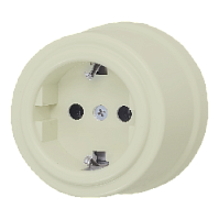 Розетка с заземляющим контактом, шалфей, JNO.1L61.PG04 Jantera