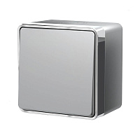 Дизайнерский выключатель влагозащищенный, серебро, W5010206 Werkel, одноклавишный