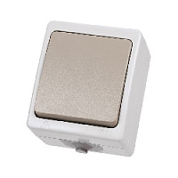 Дизайнерский выключатель IP54, белый/серый, SQ1803-0003 TDM ELECTRIC, одноклавишный проходной, серия Вуокса