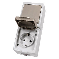 Дизайнерский выключатель одноклавишный + розетка с заземлением, шторками и с крышкой IP54, белый/серый, SQ1803-0011 TDM ELECTRIC, вертикальный блок, серия Вуокса