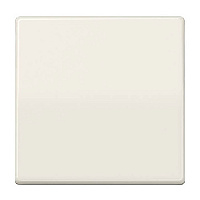 Клавиша выключателя антибактериальная, бежевый, ABAS591 Jung, серия AS 500