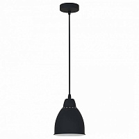 Лофт светильник подвесной Braccio, черный, A2054SP-1BK Arte Lamp