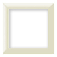 Дизайнерская рамка 1 местная, бежевый, PL-P101-BGG CGSS, серия Практика