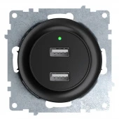 Дизайнерская розетка USB двойная, с подсветкой, 2260092, черный, OneKeyElectro