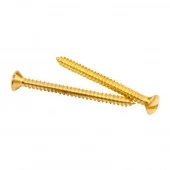 Саморезы для выключателей, изоляторов (40 шт.) латунь GE30002-30 ТМ МезонинЪ