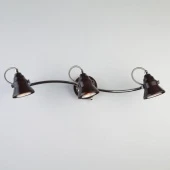 Спот в стиле лофт Magnum 20062/3 ЕВРОСВЕТ