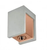 Лофт светильник потолочный Architect OL1073-GG LOFT IT