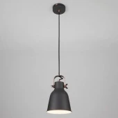 Подвесной светильник в стиле лофт Projector 50083/1черн ЕВРОСВЕТ