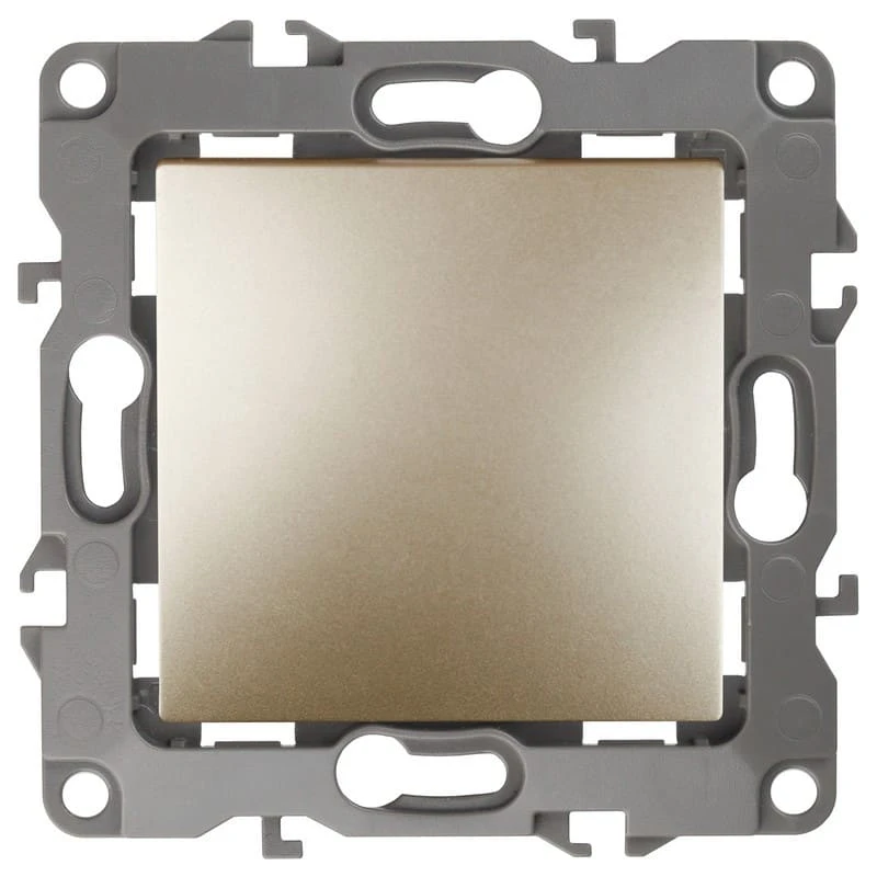 Дизайнерский выключатель без м.лапок, шампань, Б0014630 Эра, одноклавишный, серия 12 Дизайнерский выключатель без м.лапок, шампань, Б0014630 Эра, одноклавишный, серия 12
