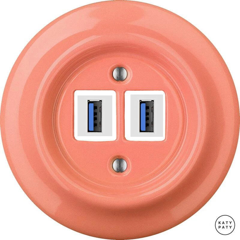 Ретро розетка USB лосось глянцевый PNSAGsUSBw Katy Paty Ретро розетка USB лосось глянцевый PNSAGsUSBw Katy Paty
