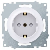 Розетка с заземлением и шторками, винтовые контакты, белая, 1E10101300 Ruwel