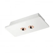 Лофт светильник потолочный Architect OL1072-WG/2 LOFT IT